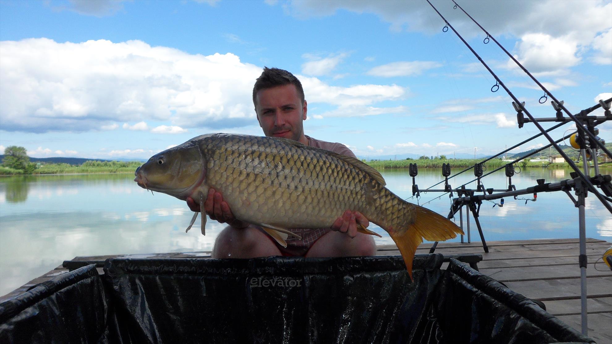 Pleasa1 6 iulie 2014